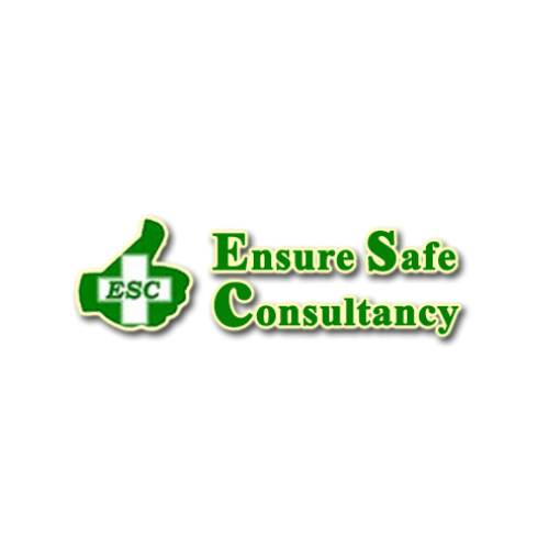 ENSURE SAFE CONSULTANCY PTE LTD 